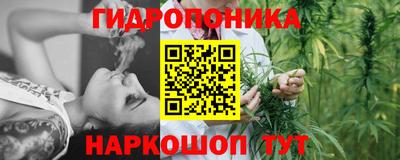 прущие грибы Комсомольск-на-Амуре