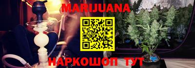 прущие грибы Комсомольск-на-Амуре